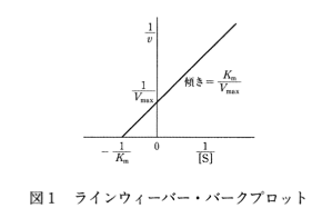 解説画像